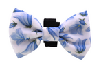 Bow Tie
