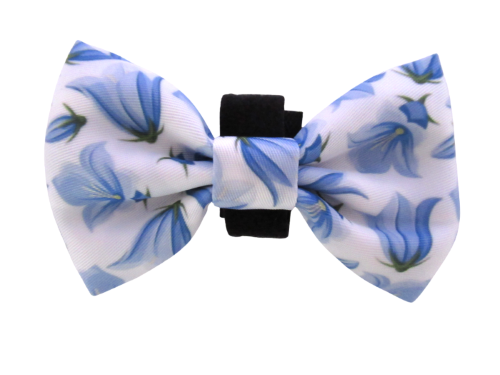 Bow Tie