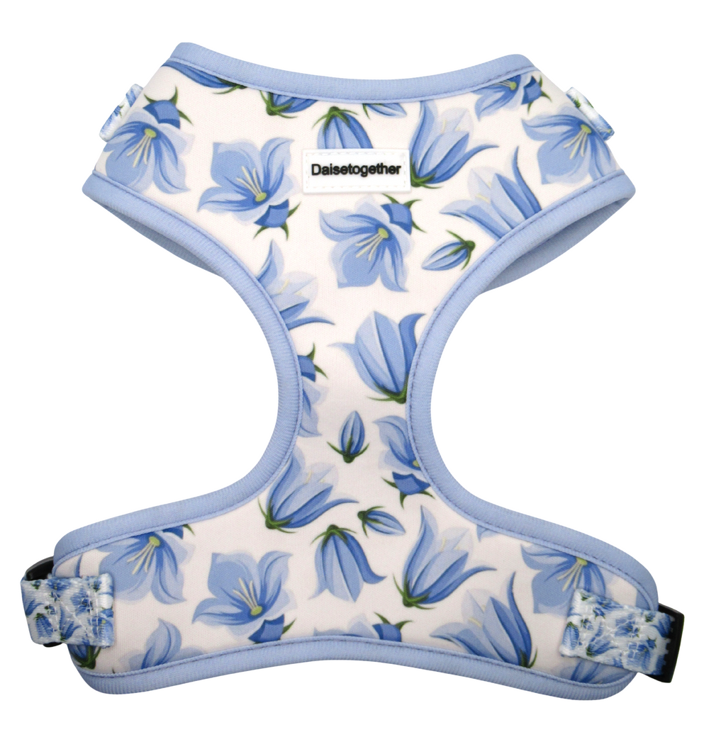 Harness
