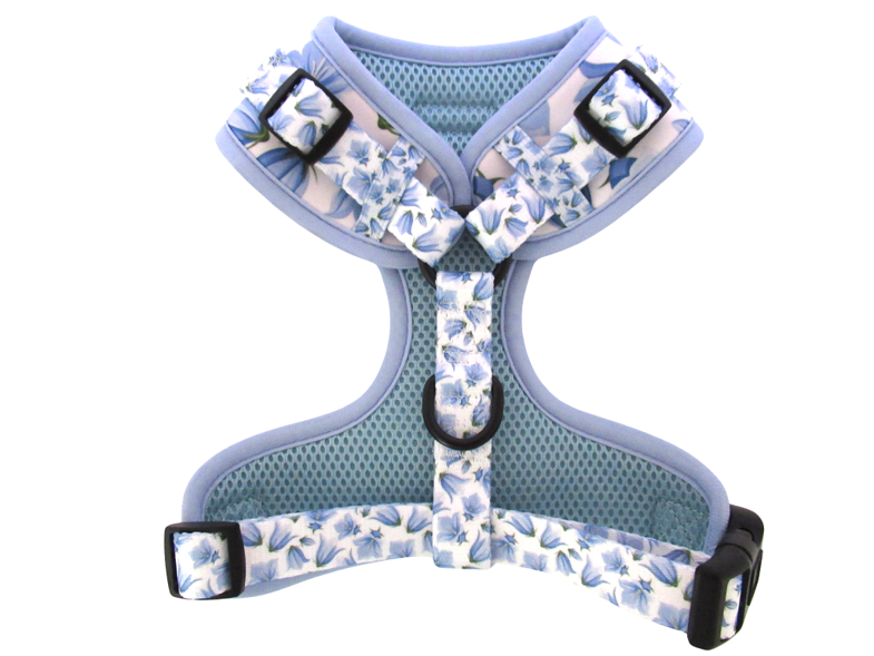 Harness