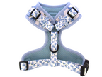 Harness